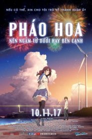 Pháo Hoa Lên Ngắm Từ Dưới Hay Bên Cạnh