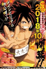 Hinomaru Zumou