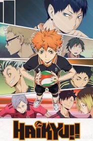 Vua Bóng Chuyền Haikyuu!! (Phần 1)