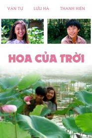 Hoa Của Trời