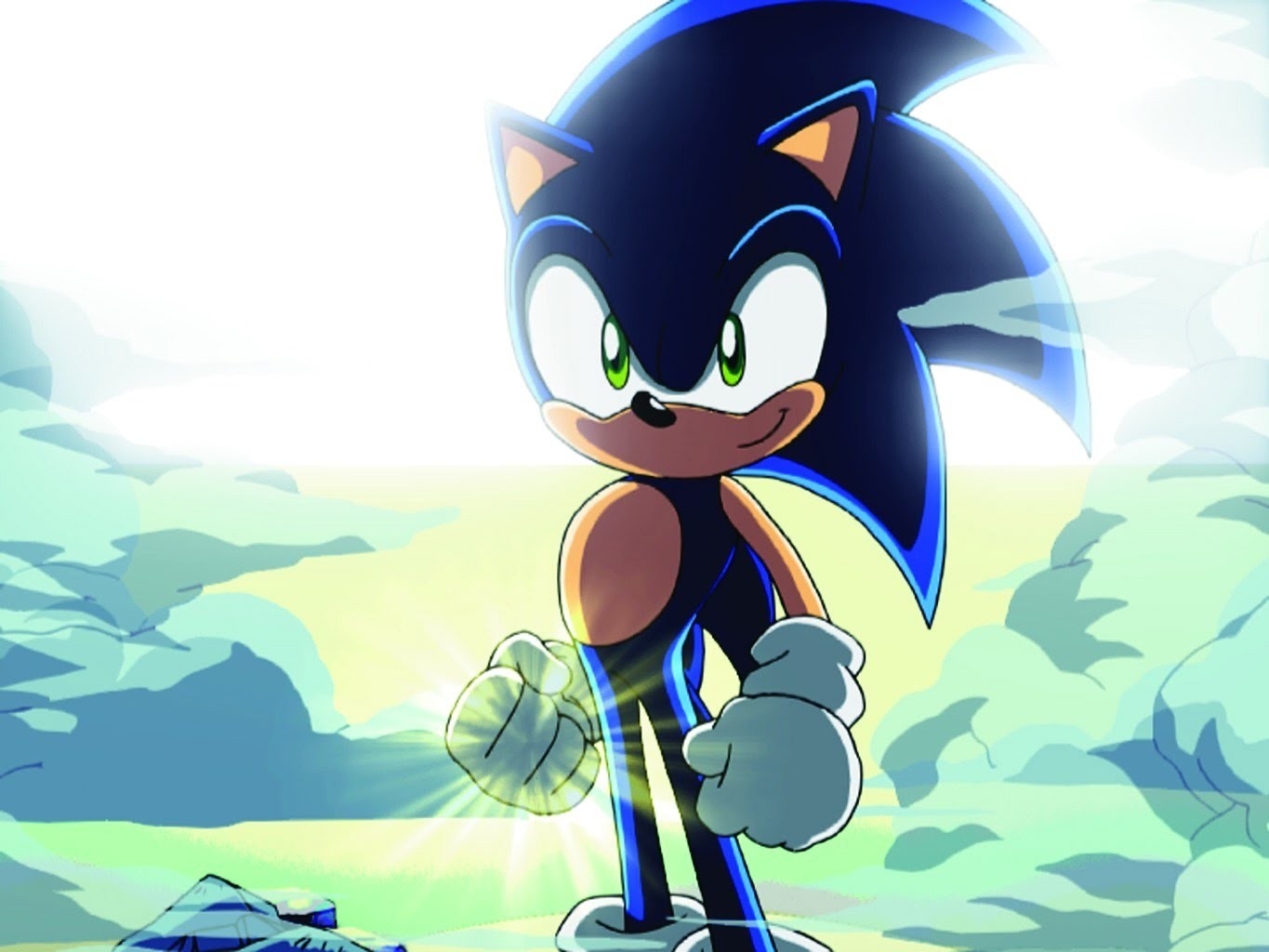 Sonic X