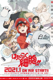 Hataraku Saibou (Phần 2)