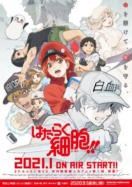 Hataraku Saibou (Phần 2)