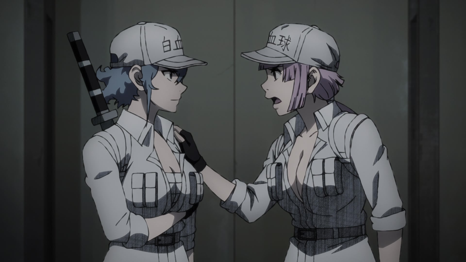 Hataraku Saibou Black (TV)