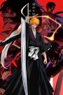 Bleach: Sennen Kessen-hen – Ketsubetsu-tan